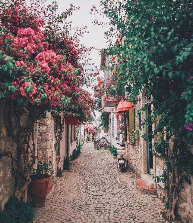 魔法师经典语录 魔法师经典语录