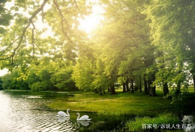 相处不累的语录