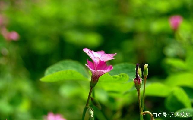 有关活着好句 有关活着好句