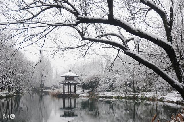 带 雪 字的诗词名句