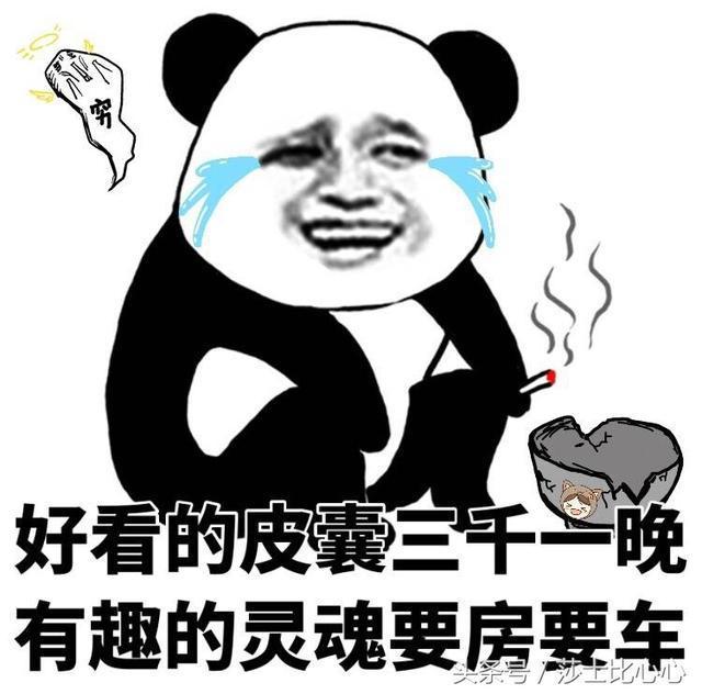 好看的皮囊语录