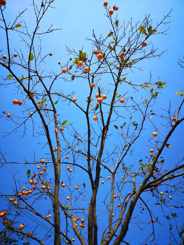 三年级句子英语句子 三年级句子英语句子