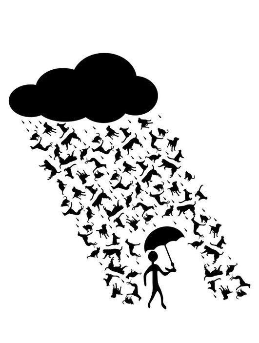 怎么用单词组成句子 怎么用单词组成句子