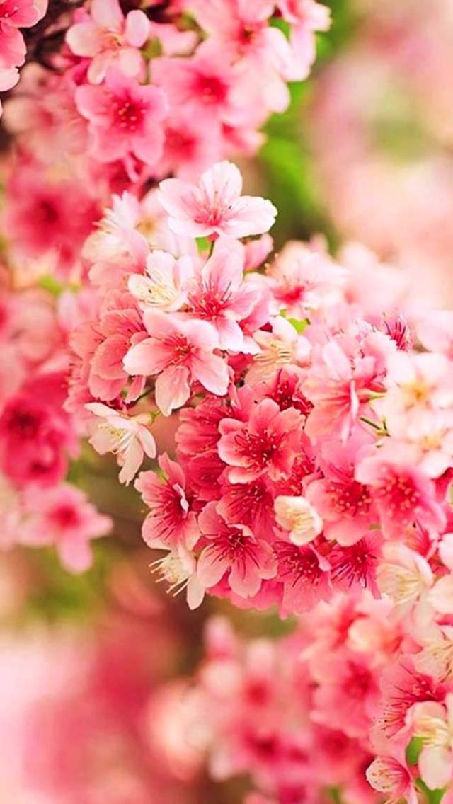 新年快乐英语句子怎么写