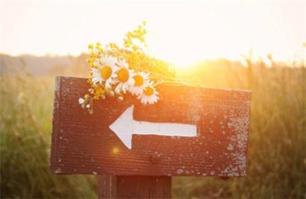 英语不放弃的句子