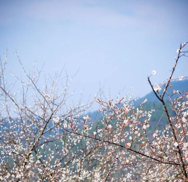 满江红中脍炙人口名句是