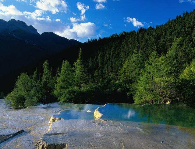 比喻树林湖泊的句子