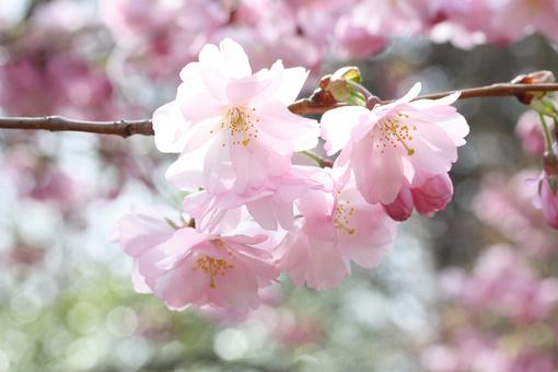 暴风雨金典语录 暴风雨金典语录