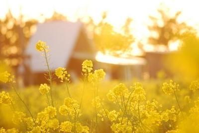 形容毫无眷恋的句子