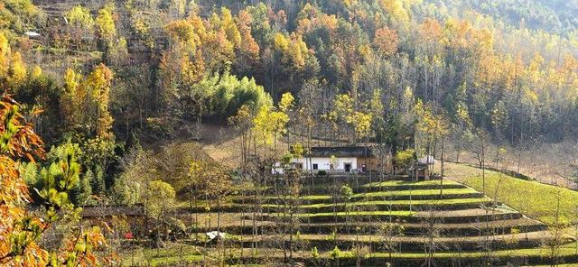 人与自然的美好句子