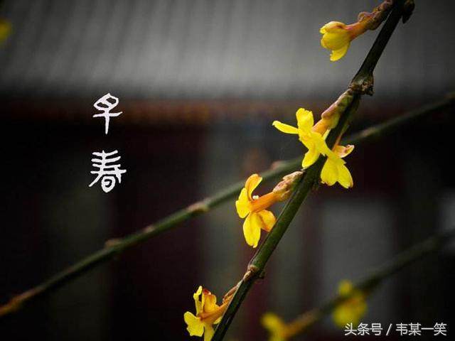 盼望春天80字以内的句子