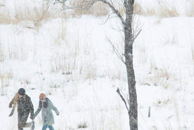 挪威的森林经典语录及赏析