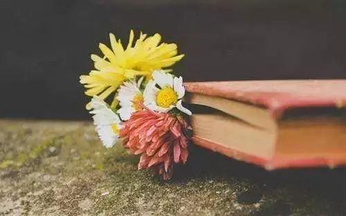 关于骑行的唯美句子