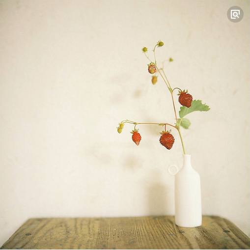 关于评价散文的名句