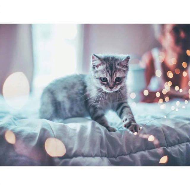 九如何写句子 九如何写句子