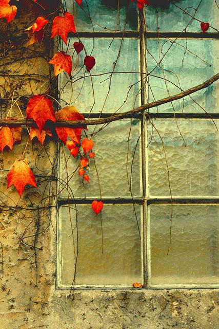 描写生活艰苦的句子