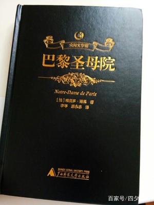 摘抄巴黎圣母院的好句