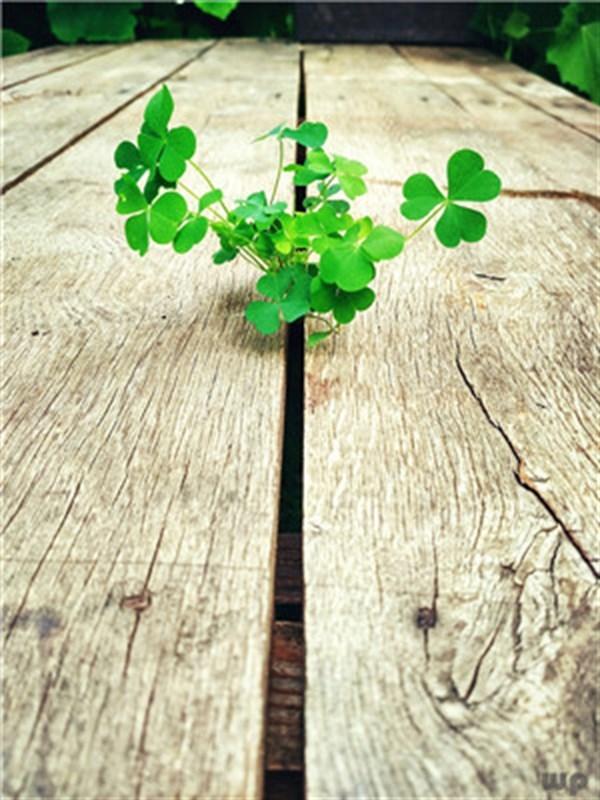 人生逆境不抱怨的励志名言名句 人生逆境不抱怨的励志名言名句