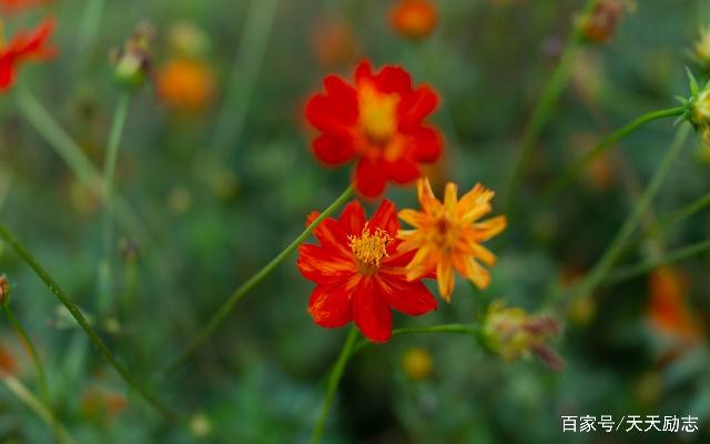 刷存在感讽刺的句子