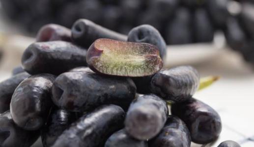 吃葡萄的句子 吃葡萄的句子