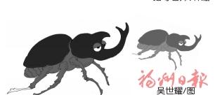 《昆虫记》好句，读后感