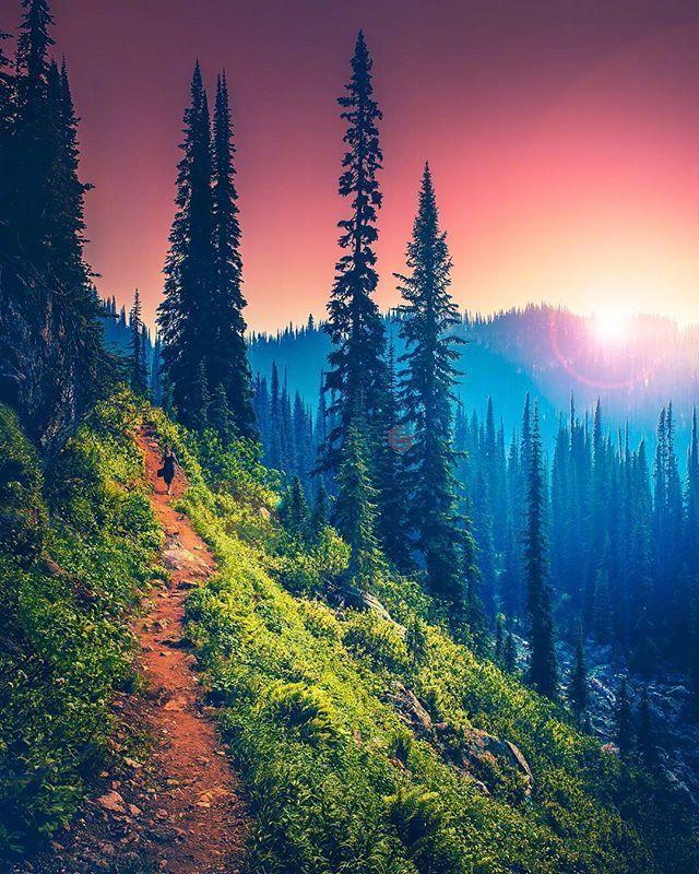 狄更斯语录图片