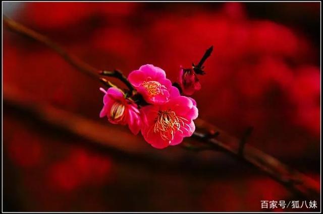 谈美 朱光潜好句赏析 谈美 朱光潜好句赏析