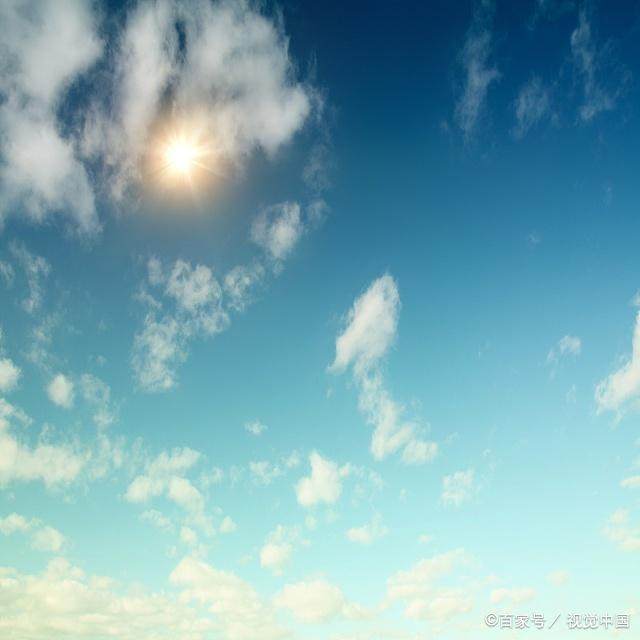 写句子天空是小鸟的