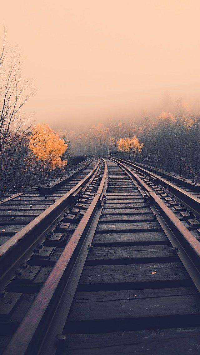 东野圭吾名句图片