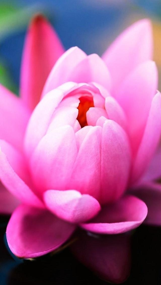 过完春节感慨的句子 过完春节感慨的句子