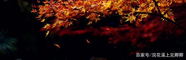 描写号角声的句子