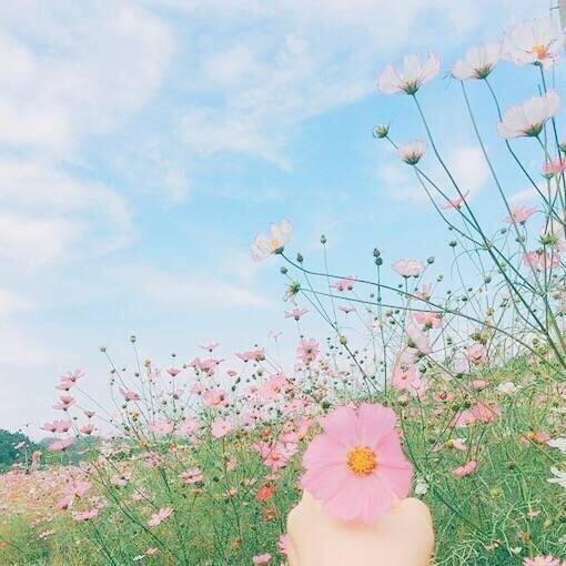 关于我是的句子