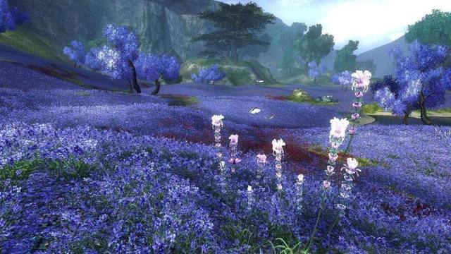 悬挂励志语录的作用