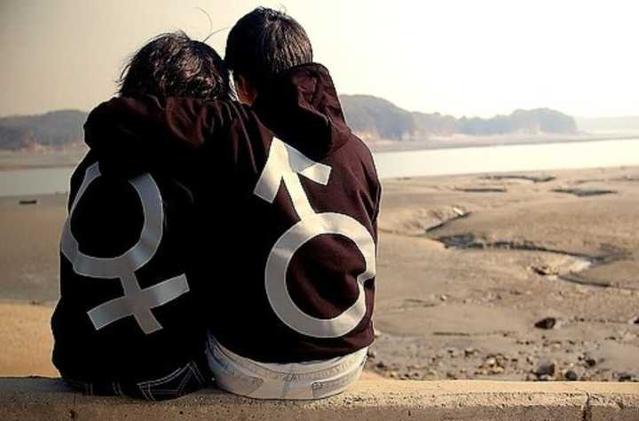 关于牢笼 鸟语录 关于牢笼 鸟语录