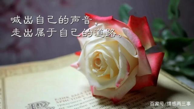 利用我们的句子