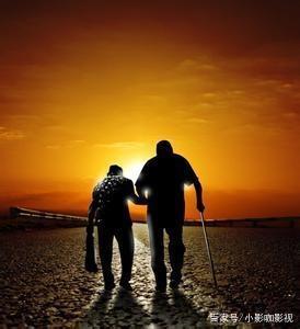 关于相守作文的好句