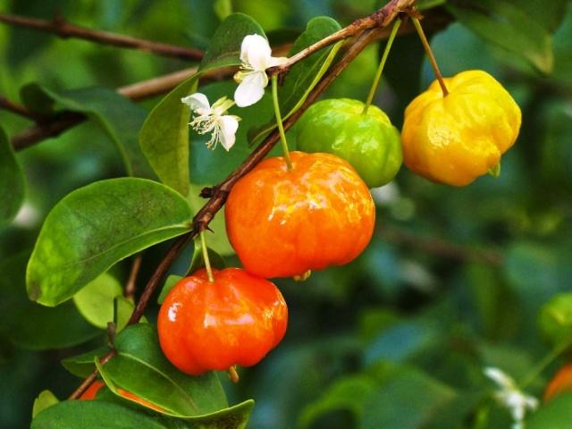 人生 顺其自然就好句子