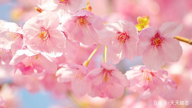 形容景色优美心情好句