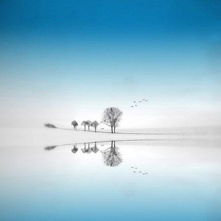 品红酒感悟人生的句子