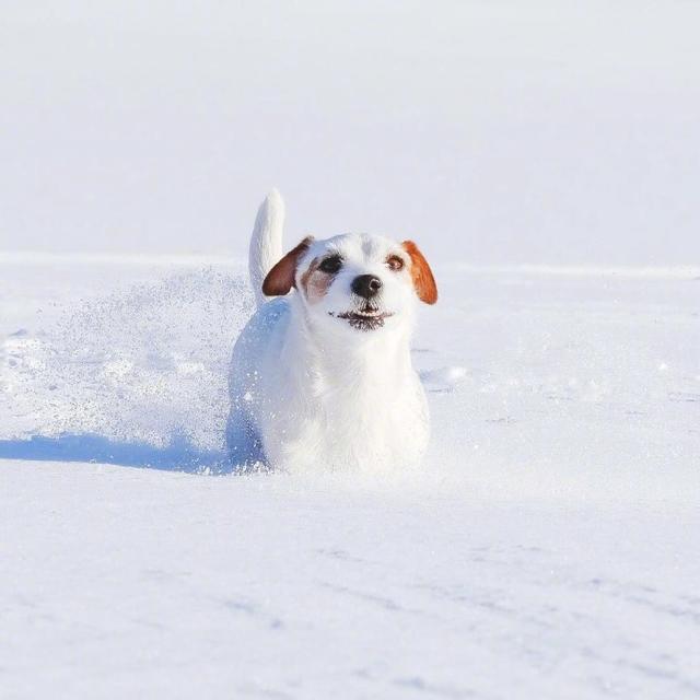 交往一个人句子迷