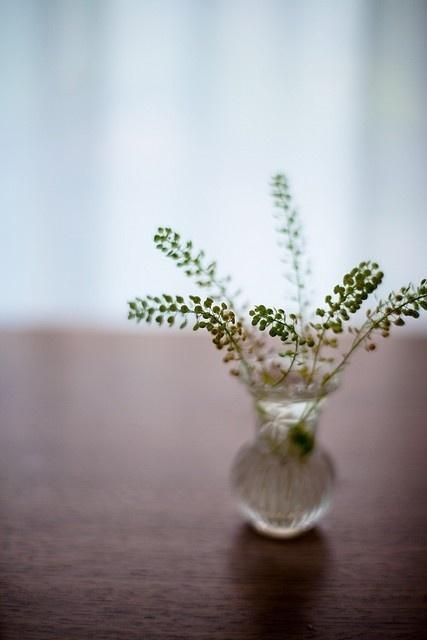 形容看开的句子 形容看开的句子