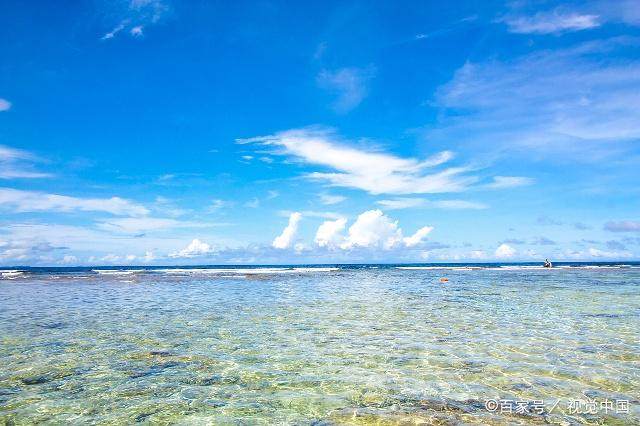 关于看条鱼儿的句子