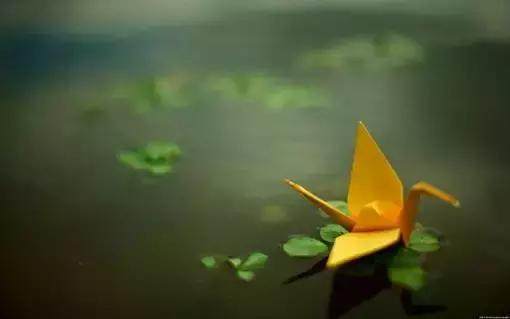 看淡荣辱的句子