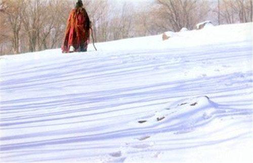 红楼梦句子语段