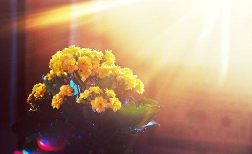 带默的优美句子