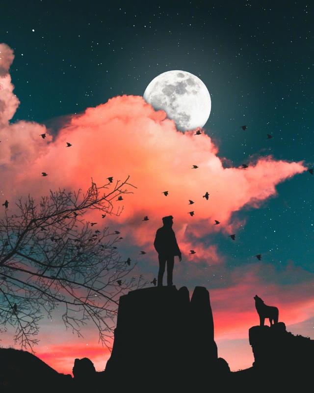 干练女人的 优美句子