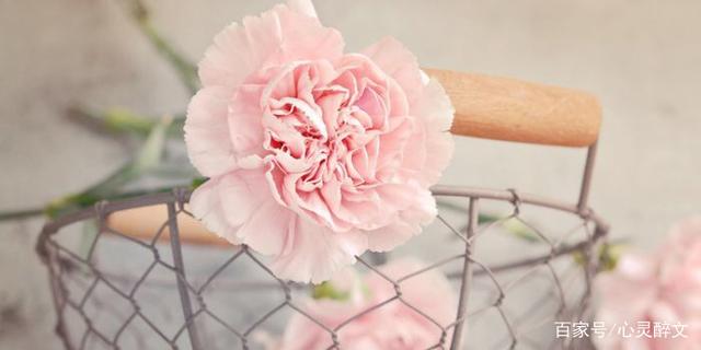 30个过去式的句子 30个过去式的句子