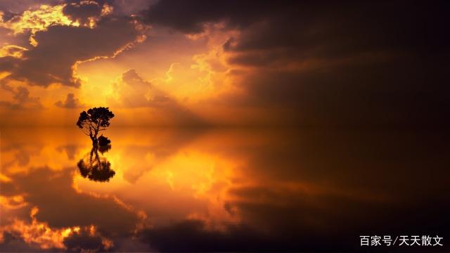 枫叶的叹息好句 枫叶的叹息好句