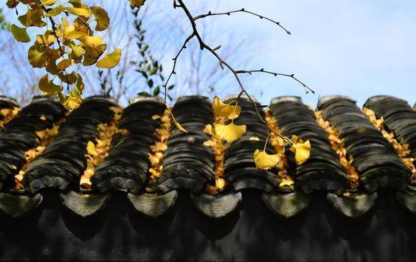 礼记相关的诚信名句 礼记相关的诚信名句