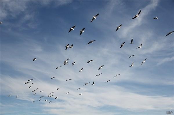 《不期而遇》的句子